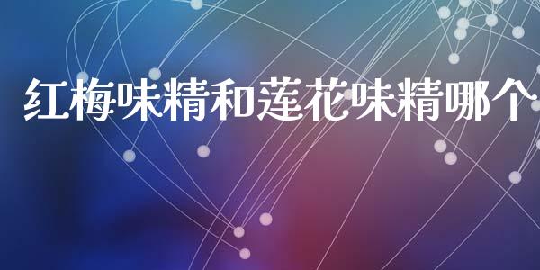 红梅味精和莲花味精哪个_https://wap.kuaijiepai.net_外汇交易_第1张