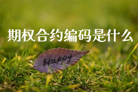 期权合约编码是什么_https://wap.kuaijiepai.net_财务风控_第1张