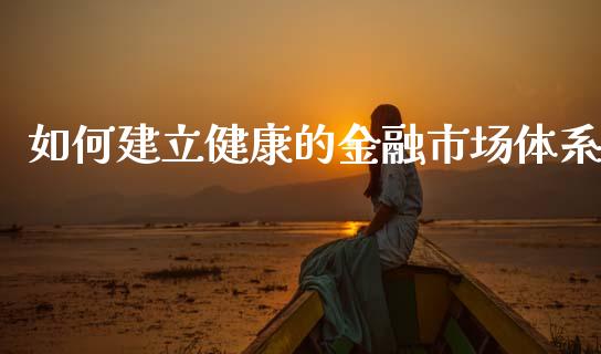 如何建立健康的金融市场体系_https://wap.kuaijiepai.net_财务咨询_第1张