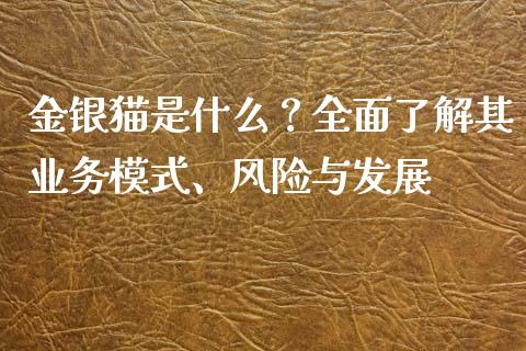 金银猫是什么?全面了解其业务模式、风险与发展_财务风控_第1张_金融科技_财务风控_外汇交易_财务咨询 金银猫是什么?全面了解其业务模式、风险与发展_https://wap.kuaijiepai.net_财务风控_第1张