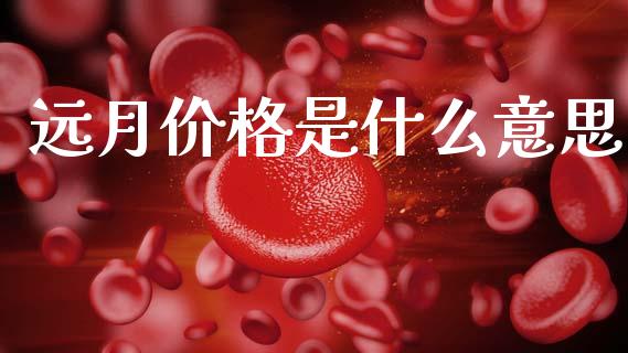 远月价格是什么意思_外汇交易_第1张_金融科技_财务风控_外汇交易_财务咨询 远月价格是什么意思_https://wap.kuaijiepai.net_外汇交易_第1张