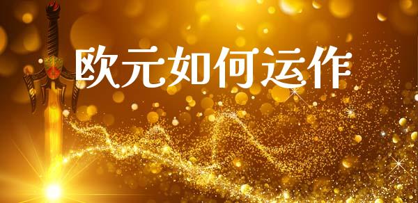 欧元如何运作_https://wap.kuaijiepai.net_财务咨询_第1张