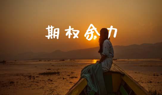 期权余力_https://wap.kuaijiepai.net_财务咨询_第1张