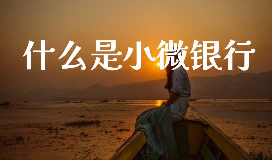 什么是小微银行_https://wap.kuaijiepai.net_财务风控_第1张