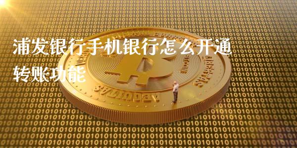 浦发银行手机银行怎么开通转账功能_https://wap.kuaijiepai.net_财务风控_第1张