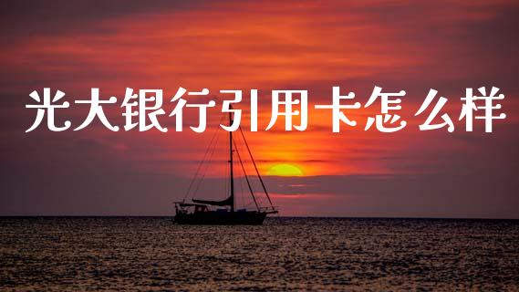 光大银行引用卡怎么样_https://wap.kuaijiepai.net_财务风控_第1张
