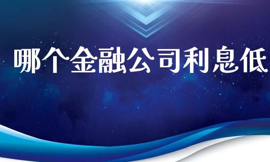 哪个金融公司利息低_https://wap.kuaijiepai.net_财务风控_第1张