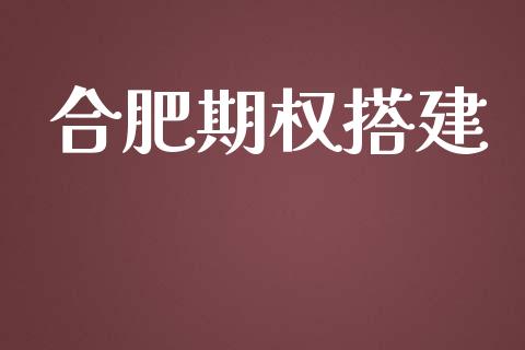 合肥期权搭建_https://wap.kuaijiepai.net_财务风控_第1张