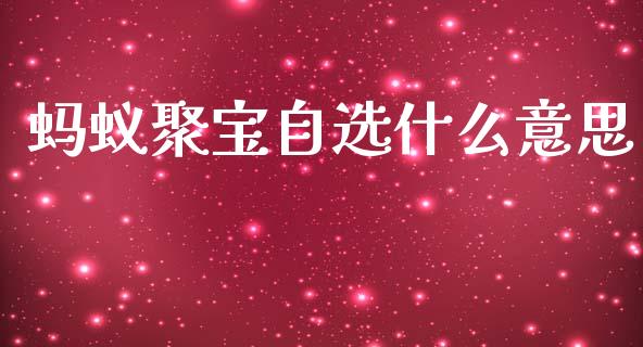 蚂蚁聚宝自选什么意思_https://wap.kuaijiepai.net_财务风控_第1张