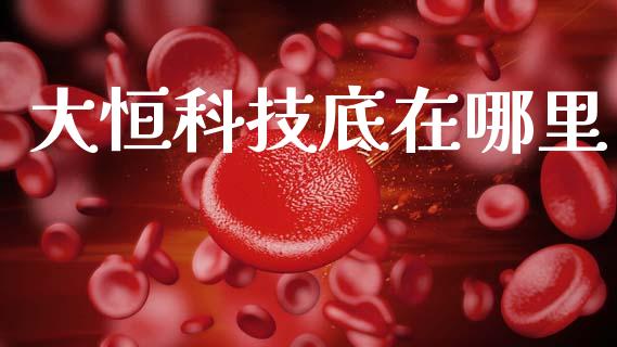 大恒科技底在哪里_https://wap.kuaijiepai.net_财务咨询_第1张