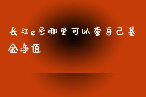 长江e号哪里可以查自己基金净值_https://wap.kuaijiepai.net_财务风控_第1张