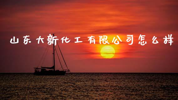 山东大新化工有限公司怎么样_https://wap.kuaijiepai.net_财务咨询_第1张