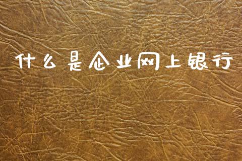 什么是企业网上银行_https://wap.kuaijiepai.net_财务风控_第1张