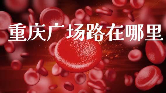 重庆广场路在哪里_https://wap.kuaijiepai.net_财务咨询_第1张