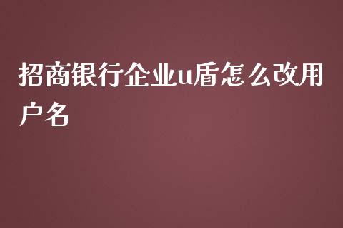 招商银行企业u盾怎么改用户名_https://wap.kuaijiepai.net_金融科技_第1张