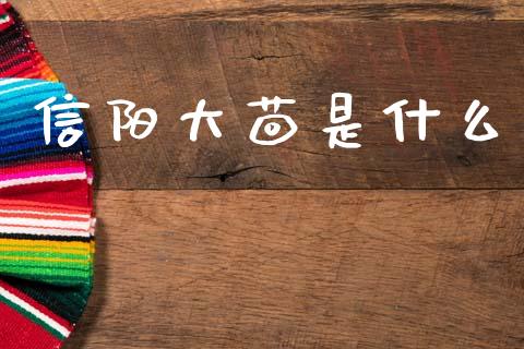 信阳大茴是什么_https://wap.kuaijiepai.net_财务咨询_第1张