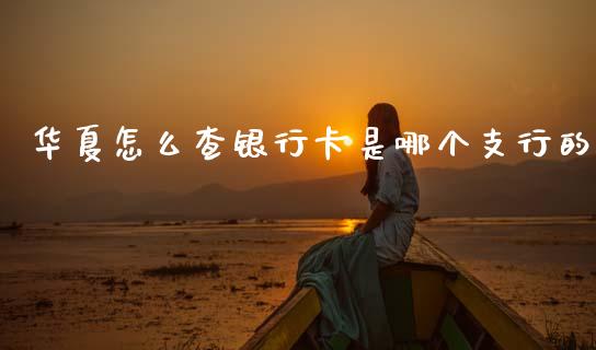 华夏怎么查银行卡是哪个支行的_https://wap.kuaijiepai.net_财务风控_第1张