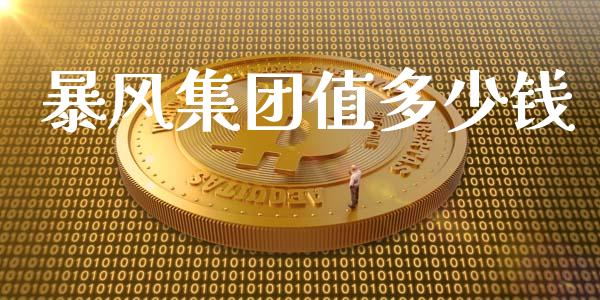 暴风集团值多少钱_https://wap.kuaijiepai.net_财务风控_第1张