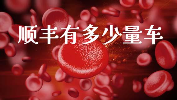 顺丰有多少量车_https://wap.kuaijiepai.net_财务咨询_第1张