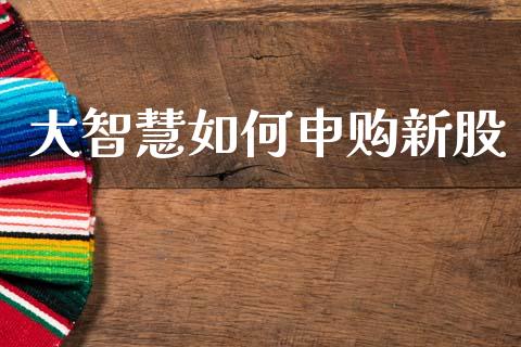 大智慧如何申购新股_https://wap.kuaijiepai.net_金融科技_第1张