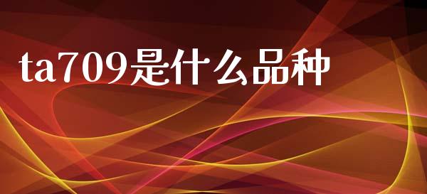 ta709是什么品种_https://wap.kuaijiepai.net_财务咨询_第1张