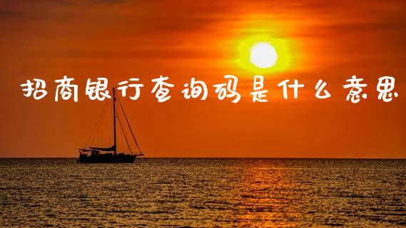 招商银行查询码是什么意思_https://wap.kuaijiepai.net_财务咨询_第1张
