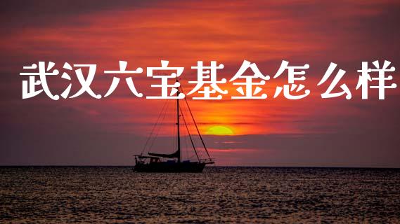 武汉六宝基金怎么样_https://wap.kuaijiepai.net_外汇交易_第1张