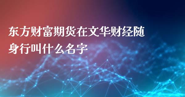 东方财富期货在文华财经随身行叫什么名字_https://wap.kuaijiepai.net_金融科技_第1张