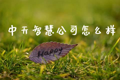 中天智慧公司怎么样_https://wap.kuaijiepai.net_金融科技_第1张
