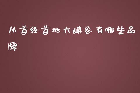 从首经首地大峡谷有哪些品牌_https://wap.kuaijiepai.net_金融科技_第1张