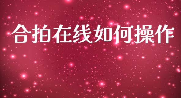 合拍在线如何操作_https://wap.kuaijiepai.net_财务风控_第1张