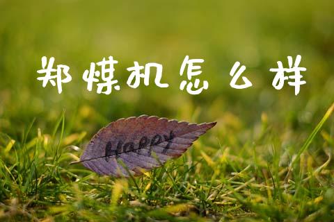 郑煤机怎么样_https://wap.kuaijiepai.net_财务咨询_第1张