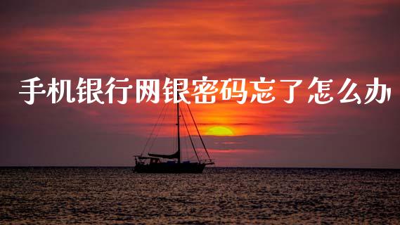 手机银行网银密码忘了怎么办_https://wap.kuaijiepai.net_金融科技_第1张