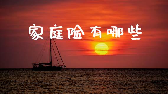 家庭险有哪些_https://wap.kuaijiepai.net_财务风控_第1张