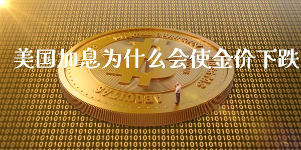 美国加息为什么会使金价下跌_https://wap.kuaijiepai.net_金融科技_第1张