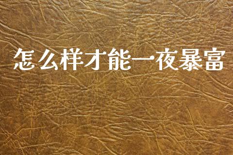 怎么样才能一夜暴富_财务风控_第1张_金融科技_财务风控_外汇交易_财务咨询 怎么样才能一夜暴富_https://wap.kuaijiepai.net_财务风控_第1张