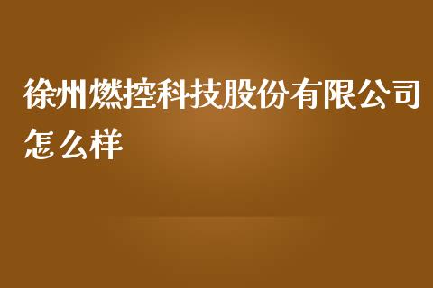 徐州燃控科技股份有限公司怎么样_https://wap.kuaijiepai.net_财务咨询_第1张