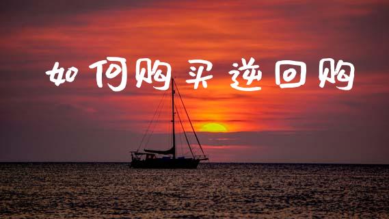 如何购买逆回购_https://wap.kuaijiepai.net_外汇交易_第1张