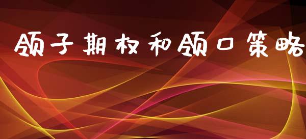 领子期权和领口策略_https://wap.kuaijiepai.net_外汇交易_第1张