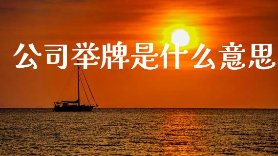 公司举牌是什么意思_https://wap.kuaijiepai.net_外汇交易_第1张