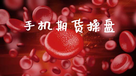 手机期货操盘_https://wap.kuaijiepai.net_财务咨询_第1张