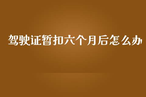 驾驶证暂扣六个月后怎么办_https://wap.kuaijiepai.net_财务风控_第1张