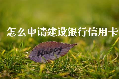怎么申请建设银行信用卡_https://wap.kuaijiepai.net_财务咨询_第1张