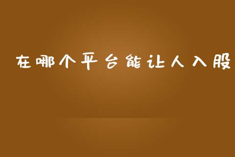 在哪个平台能让人入股_https://wap.kuaijiepai.net_财务风控_第1张