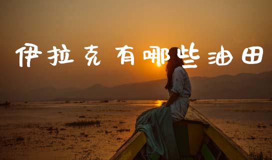 伊拉克有哪些油田_https://wap.kuaijiepai.net_财务风控_第1张