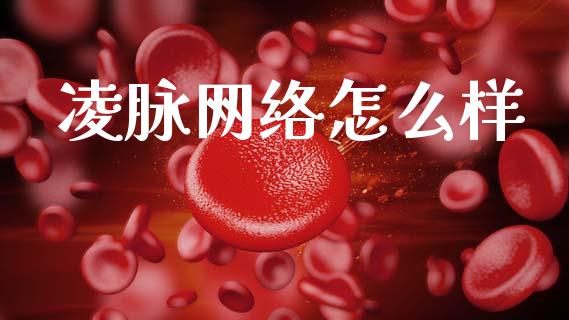 凌脉网络怎么样_https://wap.kuaijiepai.net_外汇交易_第1张