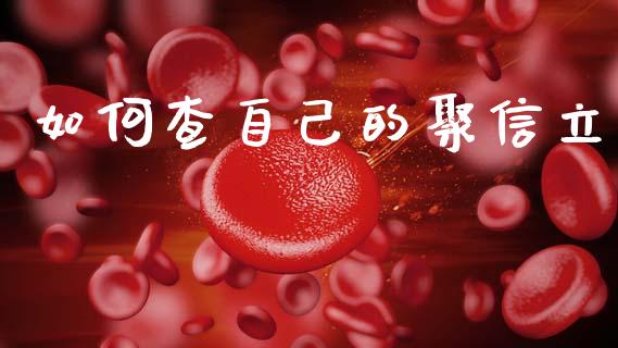 如何查自己的聚信立_https://wap.kuaijiepai.net_财务风控_第1张