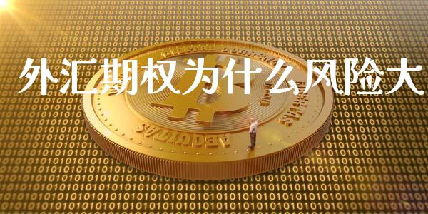 外汇期权为什么风险大_https://wap.kuaijiepai.net_财务风控_第1张