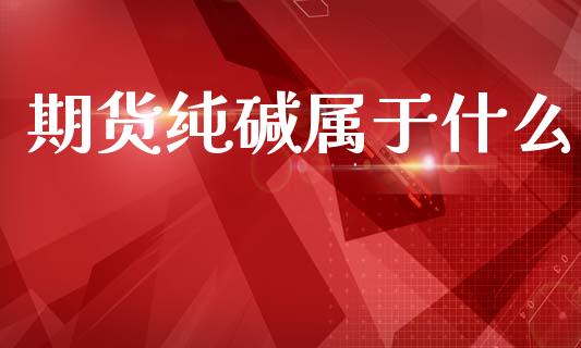 期货纯碱属于什么_https://wap.kuaijiepai.net_财务咨询_第1张