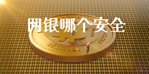 网银哪个安全_https://wap.kuaijiepai.net_财务风控_第1张